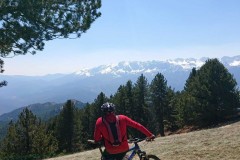 mountain_bike2